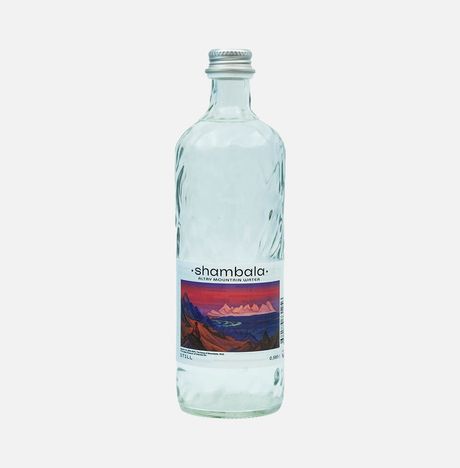 Вода Шамбала минеральная природная негаз cт/б 0,585л