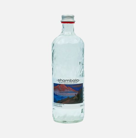 Вода Шамбала минеральная природная газ cт/б 0,585л