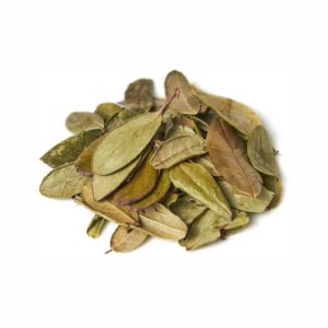 Листья толокнянки вес 