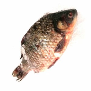 Карась крупный н/р охл вес