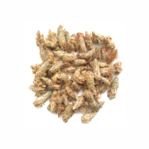 Почка сосны цельная вес 