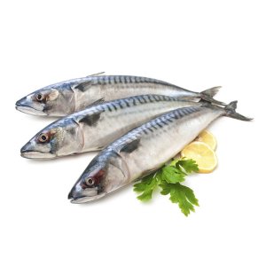 Скумбрия атлантическая соленая вес