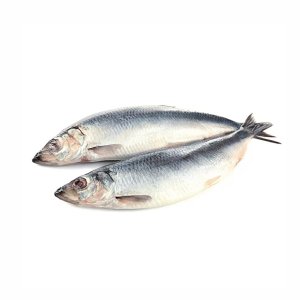 Сельдь Тихоокеанская соленая вес