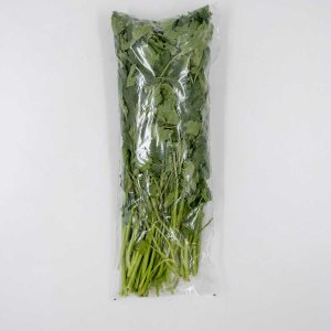 Петрушка 100г Эко-зелень