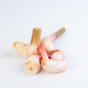 Корень галанга Таиланд вес