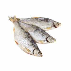 Плотва вяленная вес 