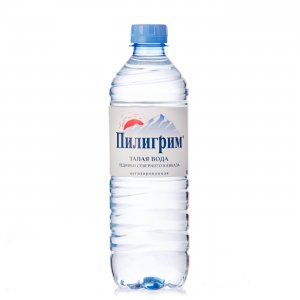 Вода минеральная Пилигрим негазированная пэт 0,5л