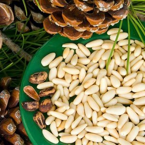 Кедровый орех очищенный вес